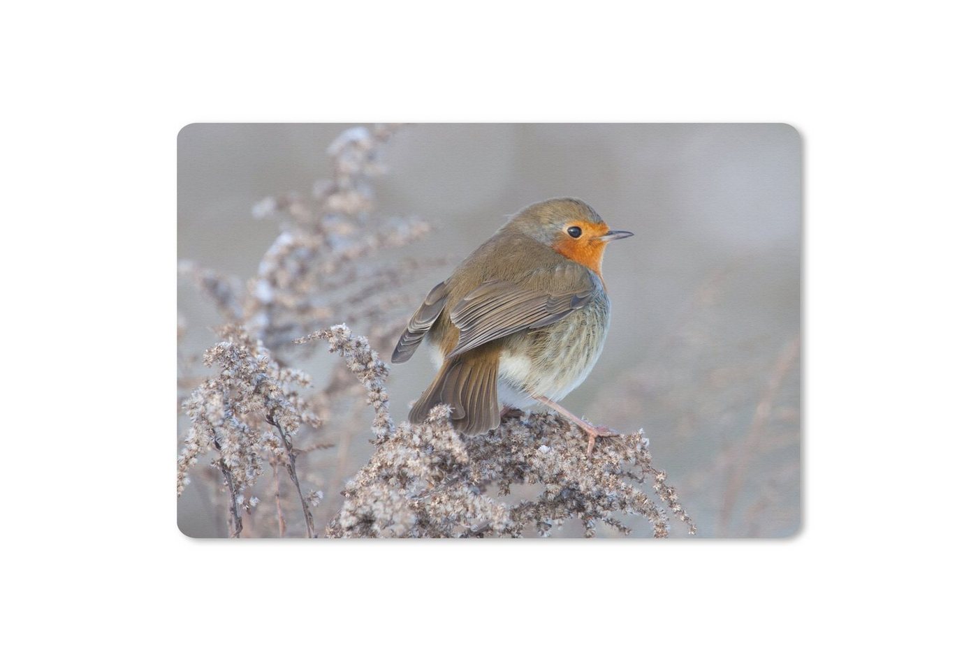 MuchoWow Mauspad Winter - Rotkehlchen - Vogel (1-St), Mouse pad Klein, Gaming Deko, PC Zubehör, 27x18 cm von MuchoWow