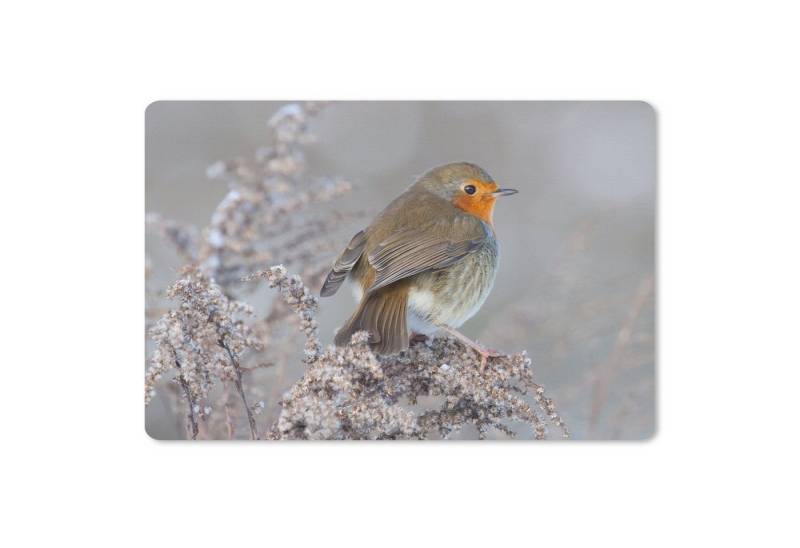 MuchoWow Mauspad Winter - Rotkehlchen - Vogel (1-St), Mouse pad Klein, Gaming Deko, PC Zubehör, 27x18 cm von MuchoWow