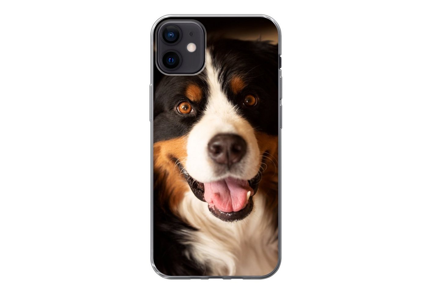 MuchoWow Handyhülle Berner Sennenhund schaut in die Kamera, Handyhülle Apple iPhone 12 Mini, Smartphone-Bumper, Print, Handy von MuchoWow