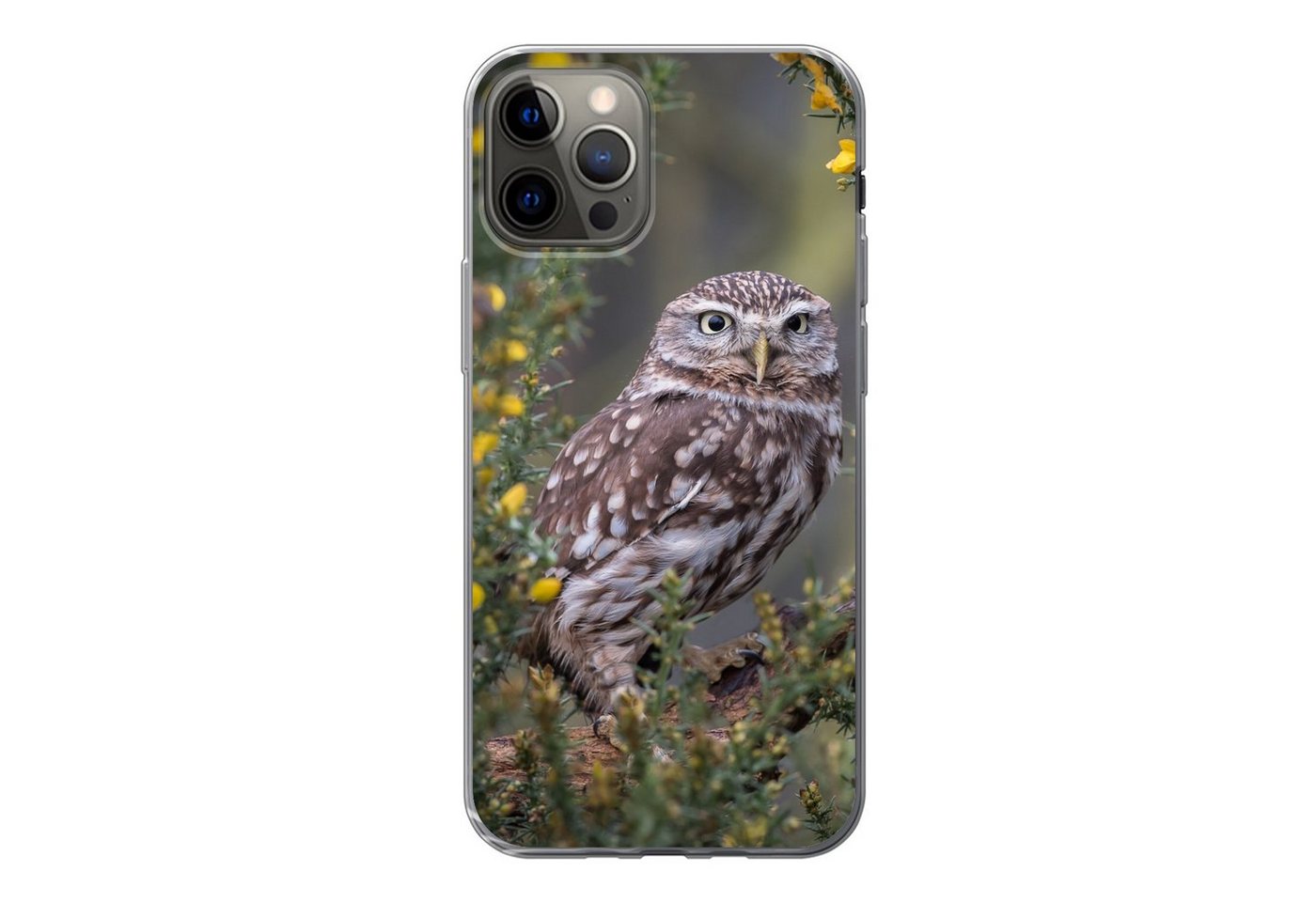 MuchoWow Handyhülle für Apple iPhone 13 Pro Eine kleine braune Eule sitzt da und starrt na, Smartphone-Bumper, Print, Handy Schutzhülle Dünn MuchoWow Handyhülle für Apple iPhone 13 Pro Eine kleine braune Eule sitzt da und starrt na, Smartphone-Bumper, Print, Handy Schutzhülle Dünn von MuchoWow