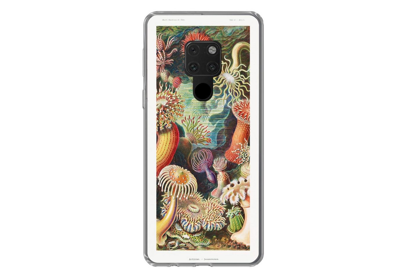 MuchoWow Handyhülle Ernst Haeckel - Anemone - Retro - Natur - Pflanzen - Meer, Handyhülle Huawei P40 Lite, Handy Case, Silikon, Bumper Case von MuchoWow