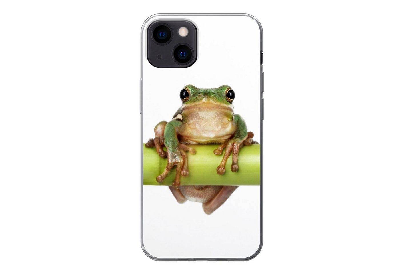MuchoWow Handyhülle Frosch - Bambus - Weiß, Handyhülle Apple iPhone 13, Smartphone-Bumper, Print, Handy von MuchoWow