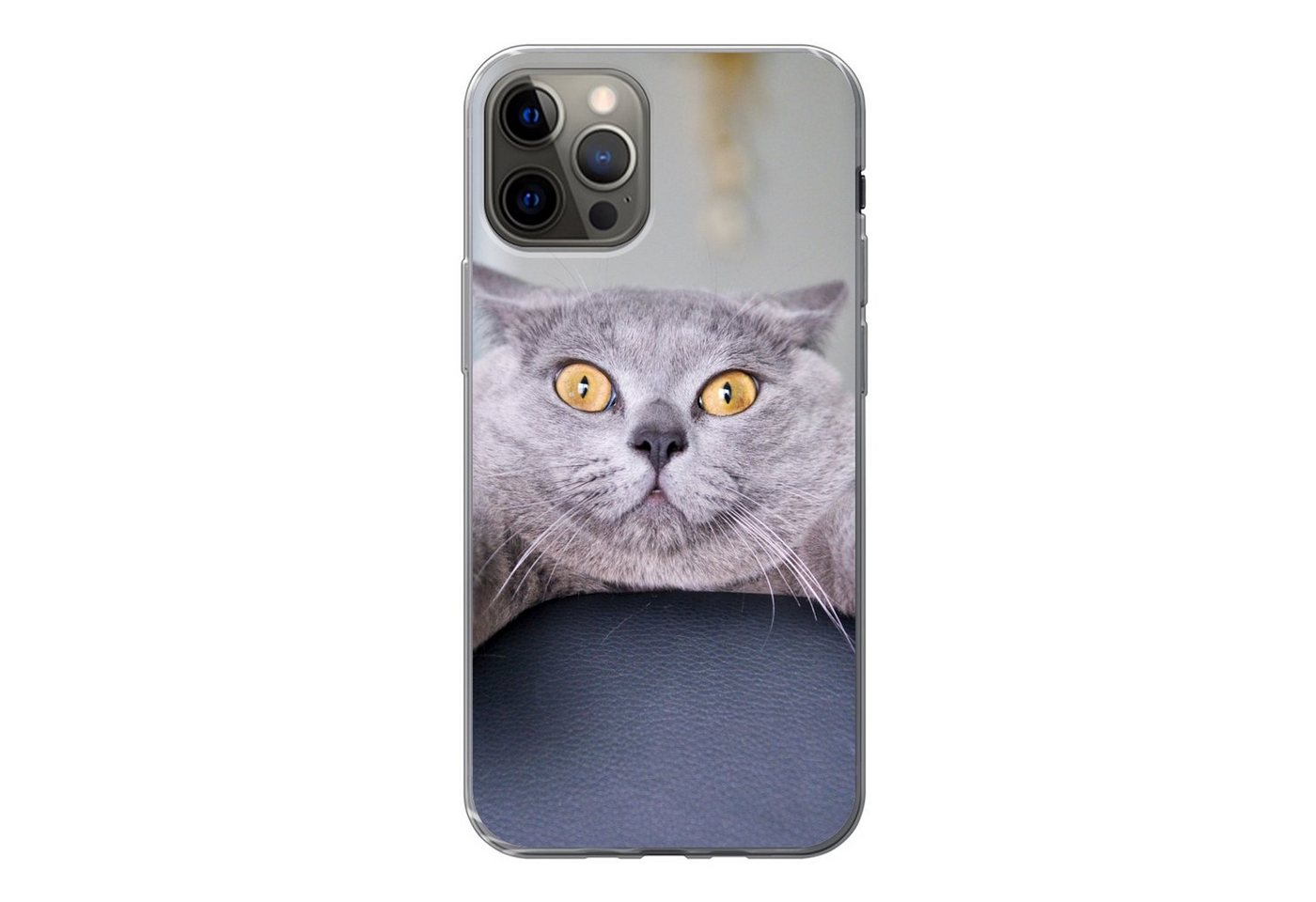 MuchoWow Handyhülle für Apple iPhone 13 Pro Katze - Angst - Stuhl, Smartphone-Bumper, Print, Handy Schutzhülle Dünn MuchoWow Handyhülle für Apple iPhone 13 Pro Katze - Angst - Stuhl, Smartphone-Bumper, Print, Handy Schutzhülle Dünn von MuchoWow