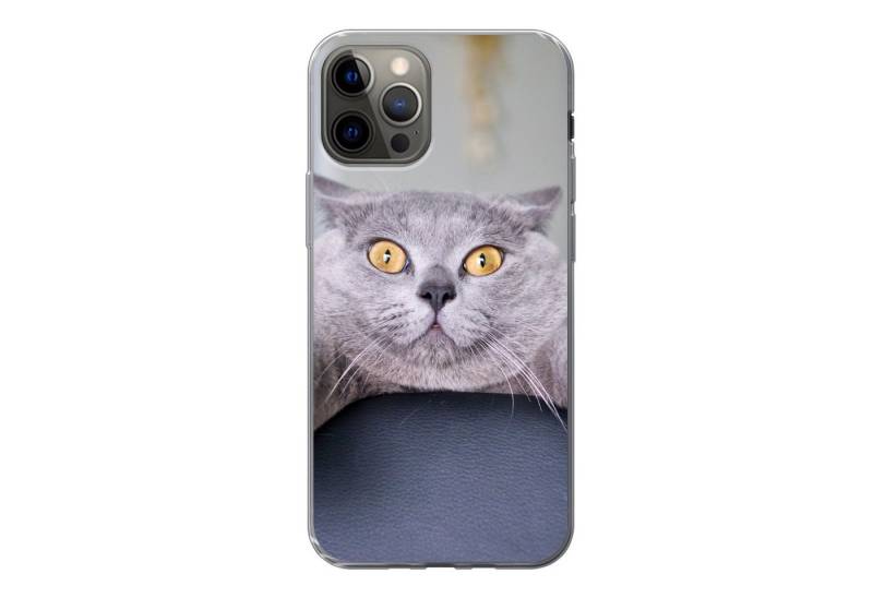 MuchoWow Handyhülle für Apple iPhone 13 Pro Katze - Angst - Stuhl, Smartphone-Bumper, Print, Handy Schutzhülle Dünn von MuchoWow