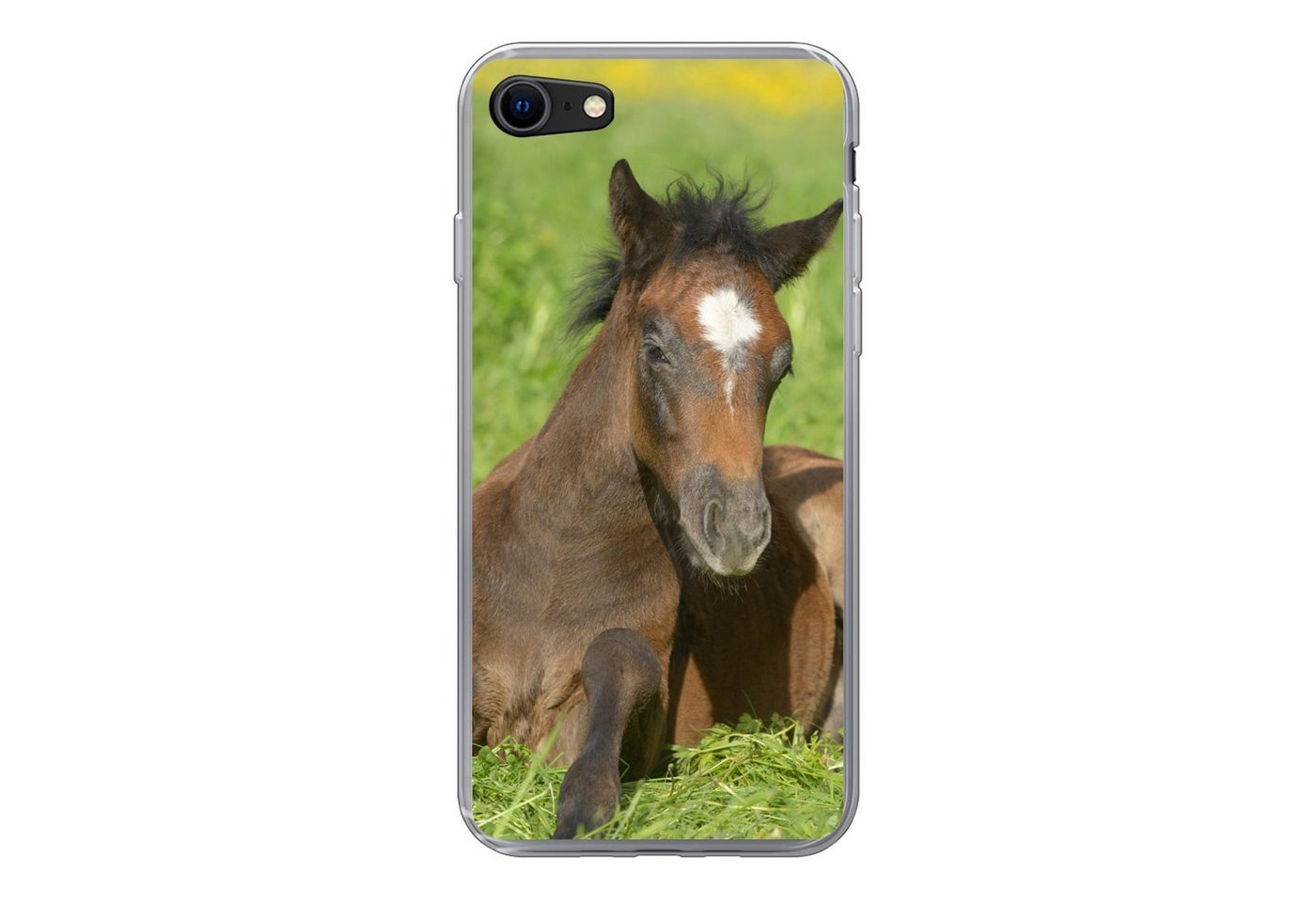 MuchoWow Handyhülle Pferde - Licht - Gras, Handyhülle Apple iPhone 8, Smartphone-Bumper, Print, Handy Schutzhülle von MuchoWow