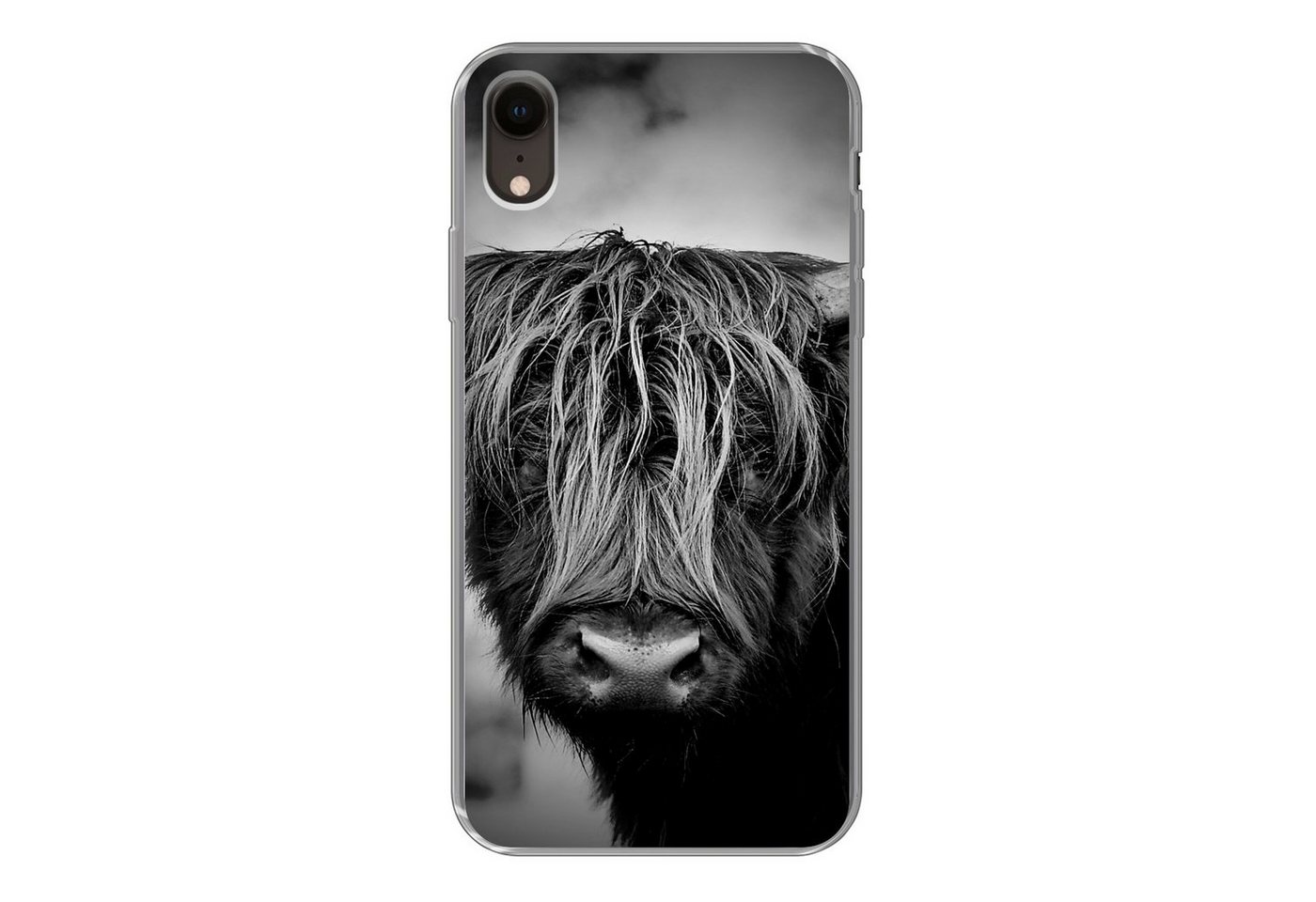 MuchoWow Handyhülle Schottischer Hochländer - Licht - Porträt - Natur, Handyhülle Apple iPhone XR, Smartphone-Bumper, Print, Handy von MuchoWow