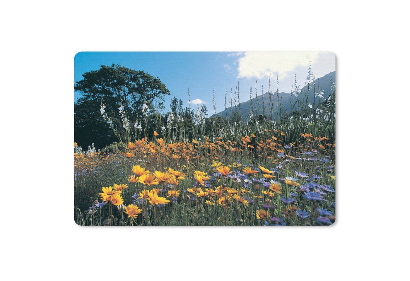 MuchoWow Mauspad (1-St), Mouse pad, Gaming Deko, PC Zubehör, 27x18 cm von MuchoWow
