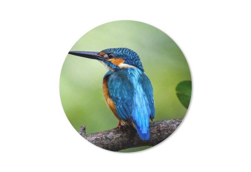 MuchoWow Mauspad Eisvogel - Zweig - Blau (1-St), Büro für Tastatur und Maus, Mousepad Gaming, Rund 20x20 cm von MuchoWow