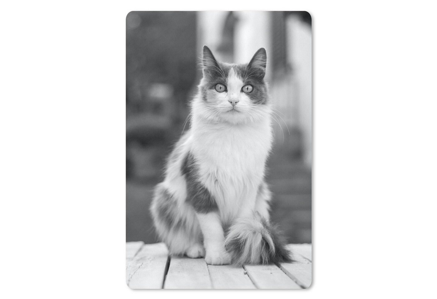 MuchoWow Mauspad Katze - Porträt - Tisch - Mädchen - Kinder - Jungen von MuchoWow