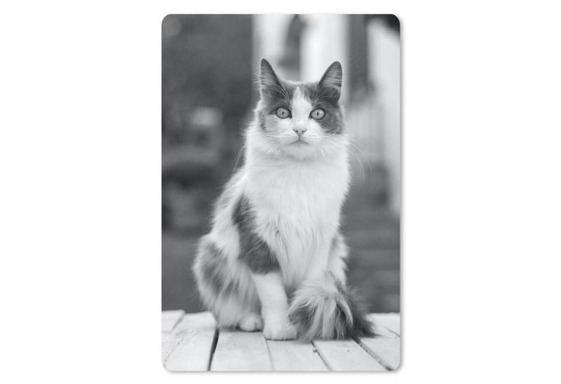 MuchoWow Mauspad Katze - Porträt - Tisch - Mädchen - Kinder - Jungen von MuchoWow