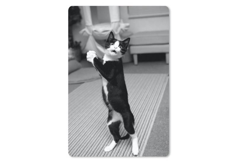 MuchoWow Mauspad Katze auf Hinterbeinen - schwarz und weiß von MuchoWow