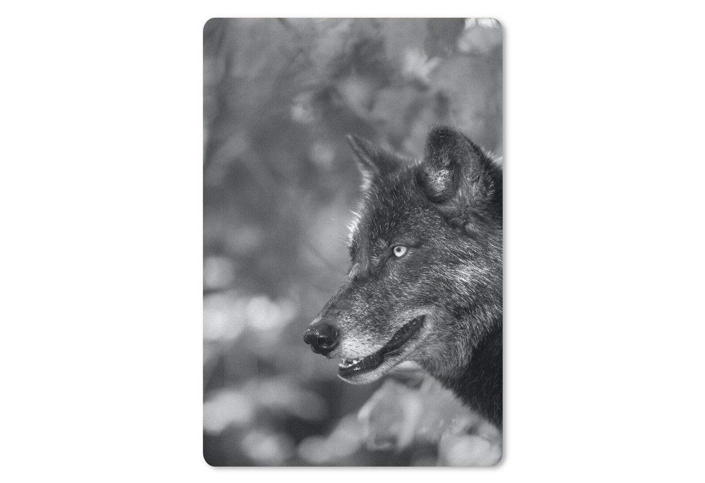 MuchoWow Mauspad Nahaufnahme Wolf - schwarz und weiß von MuchoWow