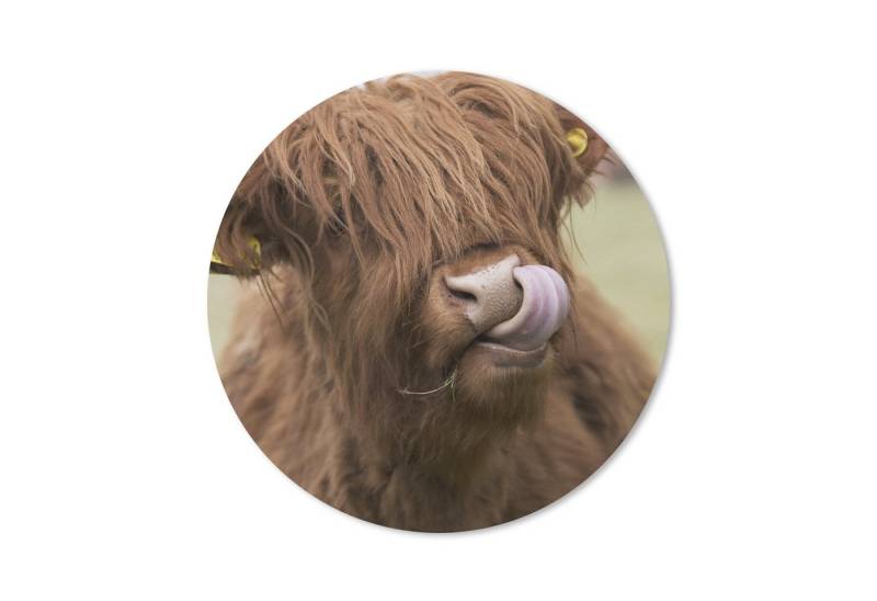 MuchoWow Mauspad Schottischer Highlander - Braun - Tiere (1-St), Büro für Tastatur und Maus, Mousepad Gaming, Rund 20x20 cm von MuchoWow