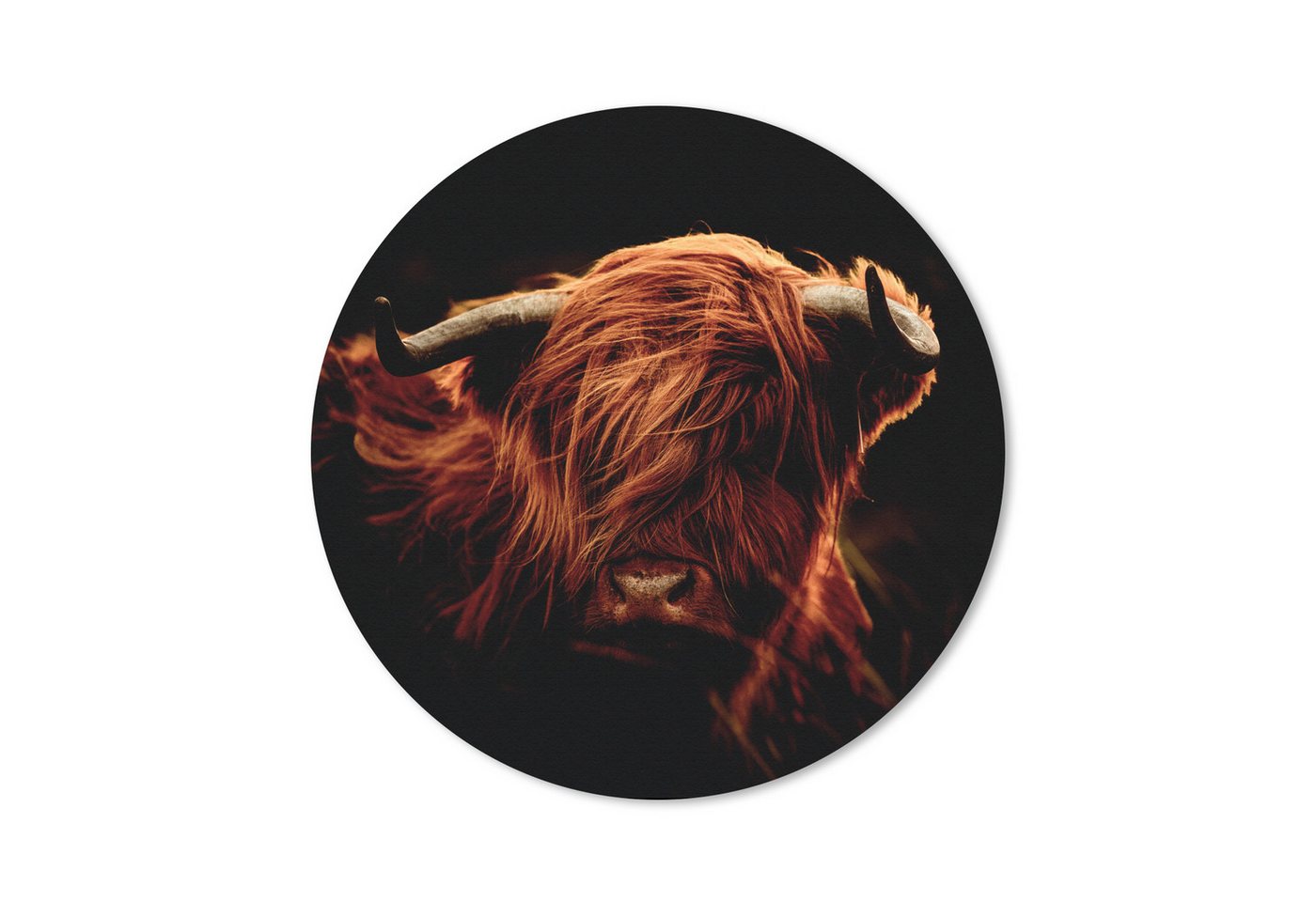 MuchoWow Mauspad Schottischer Highlander - Kuh - Hörner - Porträt - Tiere (1-St), Büro für Tastatur und Maus, Mousepad Gaming, Rund 20x20 cm von MuchoWow