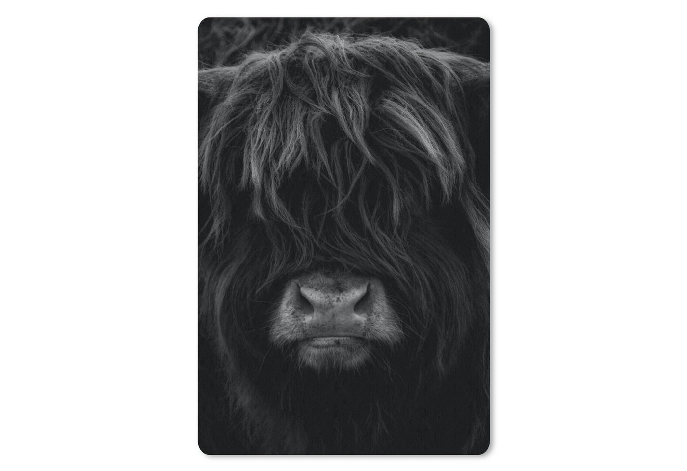 MuchoWow Mauspad Schottischer Highlander - Kuh - Porträt - Tiere - Schwarz - Weiß von MuchoWow