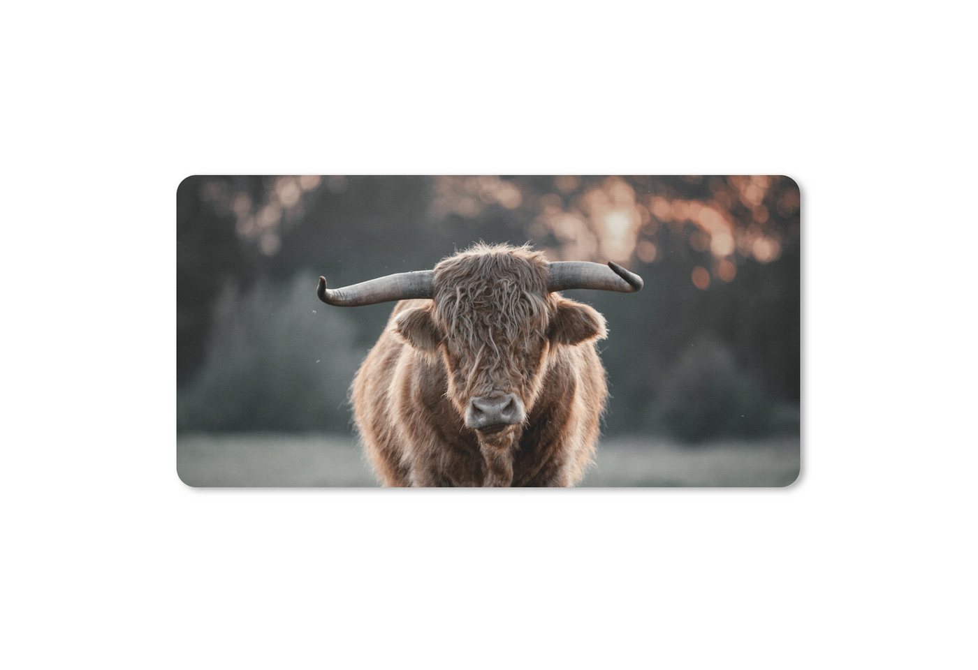 MuchoWow Mauspad Schottischer Highlander - Tier - Sonnenuntergang (1-St), Mousepad mit Rutschfester Unterseite, Mausunterlage, Gaming, 60x30 cm von MuchoWow