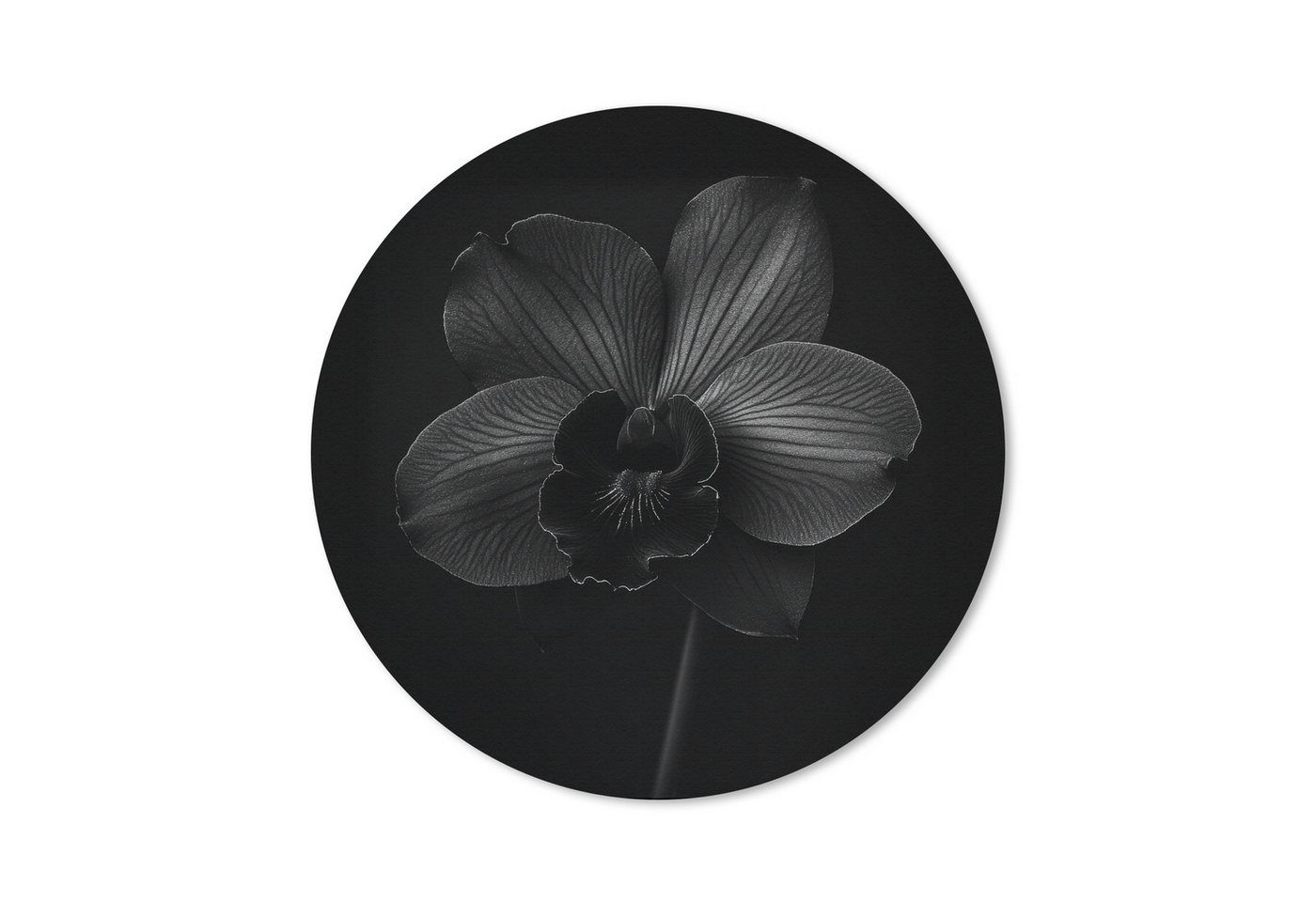 MuchoWow Mauspad Schwarz - Blume - Orchidee (1-St), Büro für Tastatur und Maus, Mousepad Gaming, Rund 20x20 cm von MuchoWow