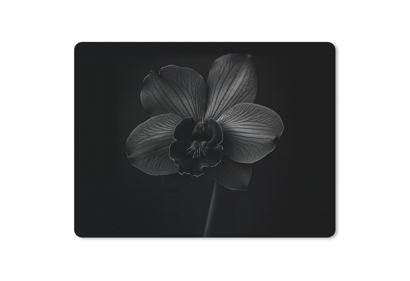 MuchoWow Mauspad Schwarz - Blume - Orchidee (1-St), Gaming, Mousepad Klein, Büro Zubehör, Mausunterlage, 23x19 cm von MuchoWow