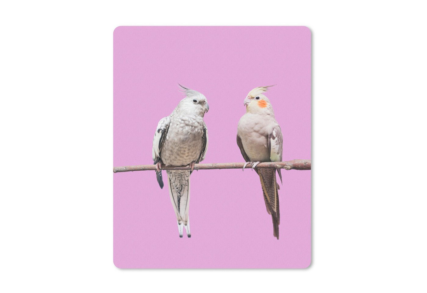 MuchoWow Mauspad Sittich - Zweig - Rosa (1-St), Gaming, Mousepad Klein, Büro Zubehör, Mausunterlage, 19x23 cm von MuchoWow