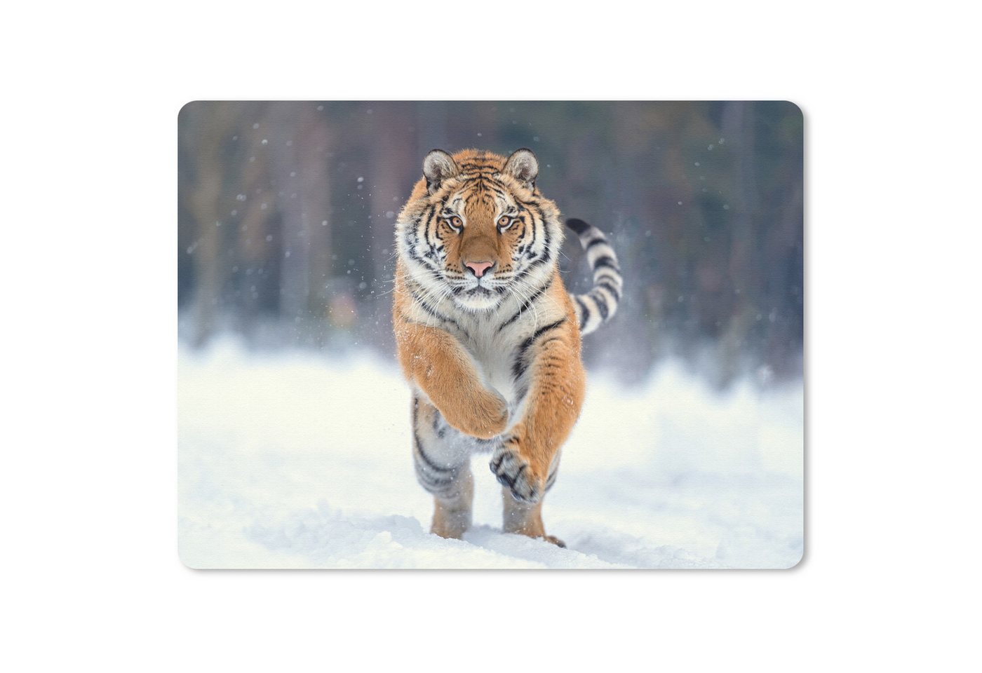 MuchoWow Mauspad Tiger - Landschaft - Schnee - Tiere (1-St), Maus Pad Klein, Gaming Zubehör, Büro Deko, 18x27 cm von MuchoWow
