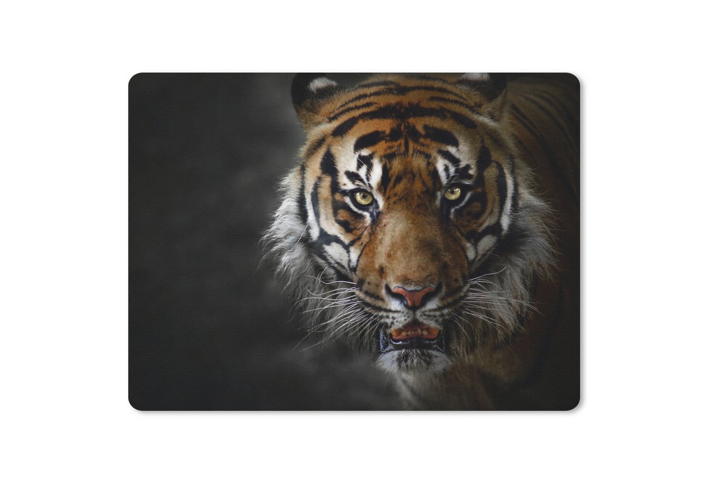 MuchoWow Mauspad Tiger - Tier - Raubtier (1-St), Gaming, Mousepad Klein, Büro Zubehör, Mausunterlage, 23x19 cm von MuchoWow