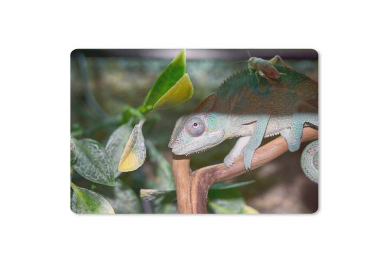 MuchoWow Mauspad Versteckte Grille auf dem Rücken des Chamäleons (1-St), Mouse pad, Gaming Deko, PC Zubehör, 27x18 cm von MuchoWow