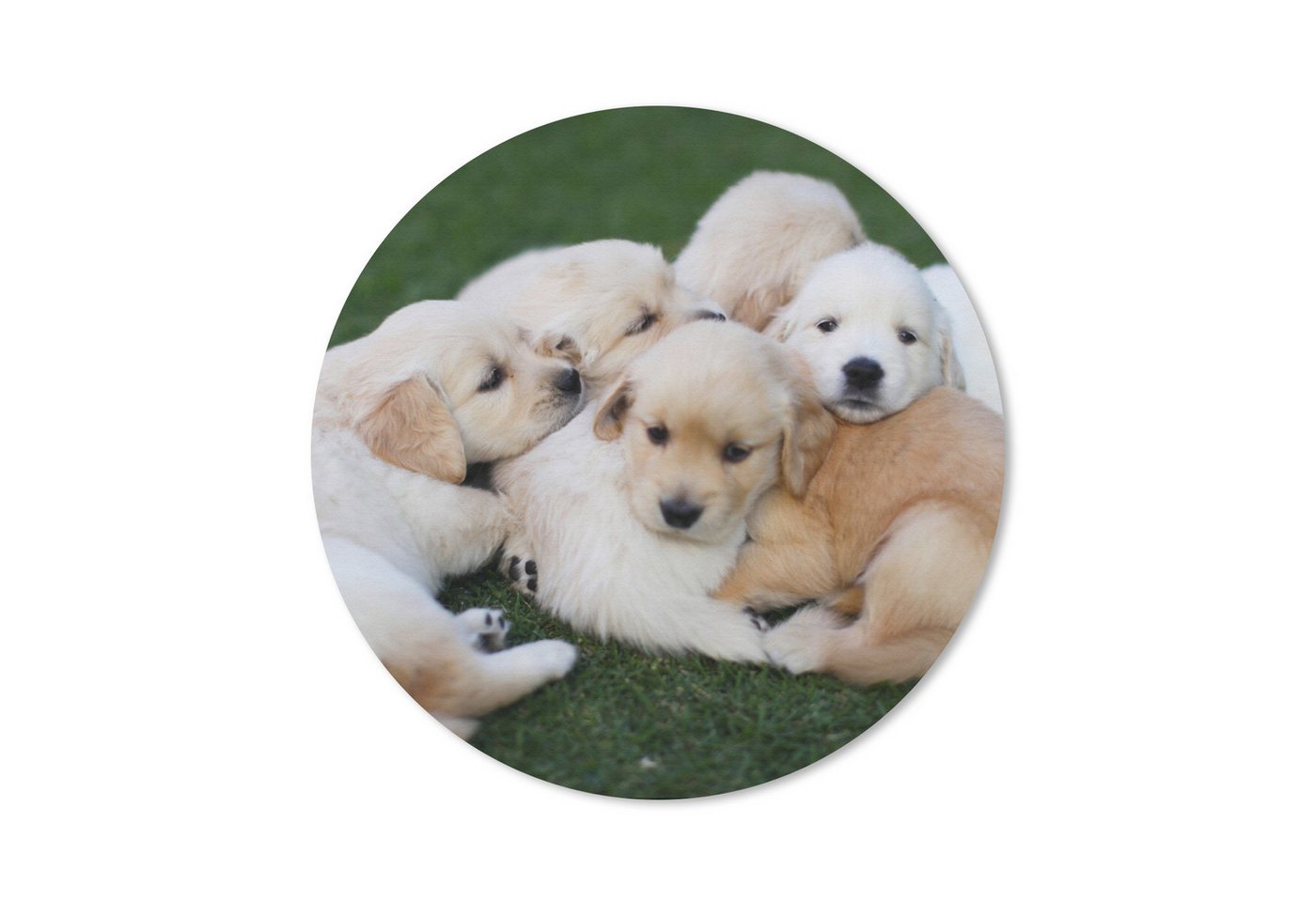 MuchoWow Mauspad Welpe - Gras - Hund (1-St), Büro für Tastatur und Maus, Mousepad Gaming, Rund 20x20 cm von MuchoWow