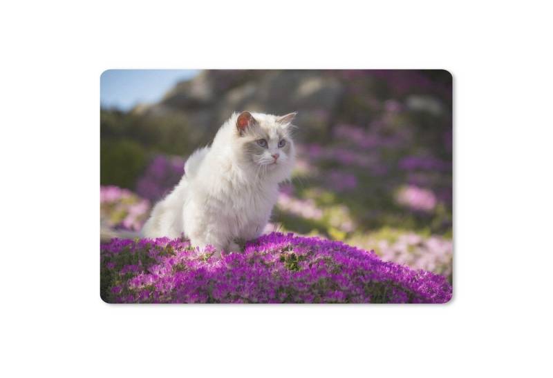 MuchoWow Mauspad (1-St), Mouse pad, Gaming Deko, PC Zubehör, 27x18 cm von MuchoWow