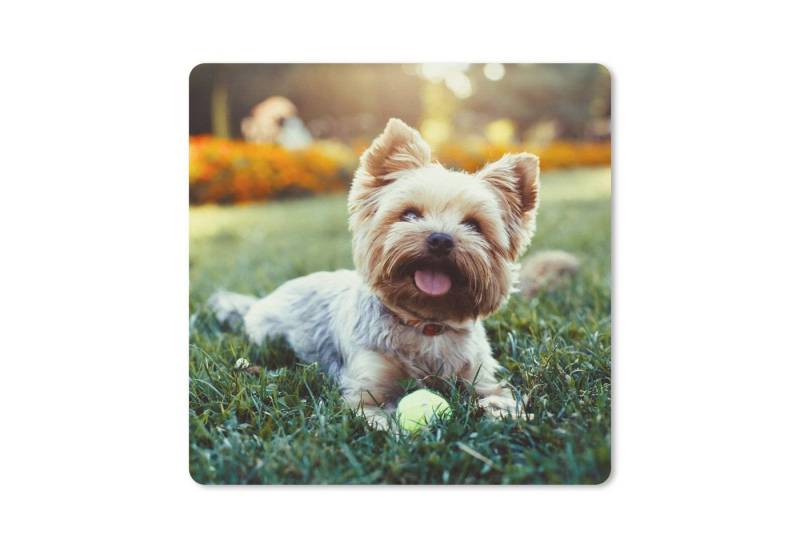 MuchoWow Mauspad (1-St), Mousepad, Schreibtisch Zubehör, Deko, 20x20 cm von MuchoWow