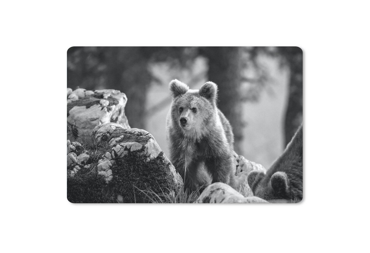 MuchoWow Mauspad Braunbär im Sonnenlicht - schwarz und weiß MuchoWow Mauspad Braunbär im Sonnenlicht - schwarz und weiß von MuchoWow