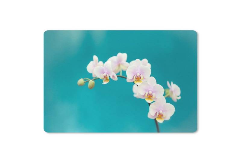 MuchoWow Mauspad Orchidee - Blumen - Pflanze - Weiß - Lila von MuchoWow
