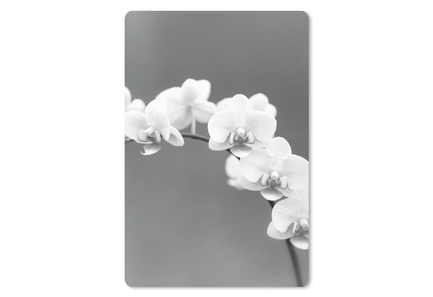 MuchoWow Mauspad Orchidee - Blumen - Pflanze - Weiß - Lila MuchoWow Mauspad Orchidee - Blumen - Pflanze - Weiß - Lila von MuchoWow