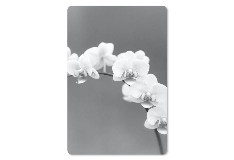 MuchoWow Mauspad Orchidee - Blumen - Pflanze - Weiß - Lila von MuchoWow