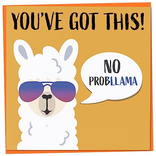Good Luck Card In Your Exams or New Job Interview, No Probllama You've Got This, Good Luck Card for Friend, Leaving Card for Colleague, Job Promotion Card von Mug Monster