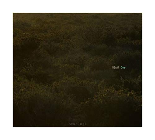 BEAM: One [CD] von Multikulti