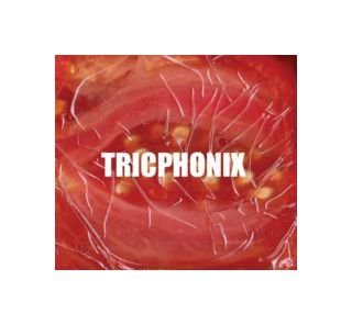 Tricphonix [CD] von Multikulti