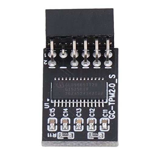 TPM 2.0-Modul LPC SPI 12Pin TPM 2.0-Modul, Remote-Kartensicherheitsmodul TPM-Remote-Kartensicherheitsmodul Verschlüsselungsplatinenzubehör für GIGABYTE von Mumusuki