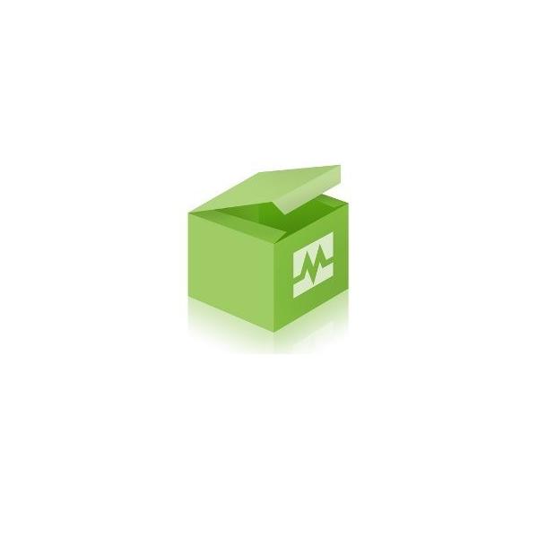 Murrelektronik MSUDK-AB1Z-PL1.5 3124176 Murrelektronik MSUDK-AB1Z-PL1.5 3124176 von Murrelektronik