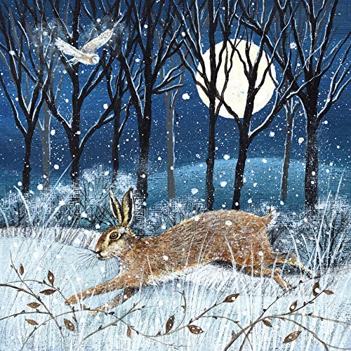 Museums & Galleries Lucy Grossmith Weihnachtskarten, Motiv: Hase, Mond und Eule, 8 Stück von Museums & Galleries