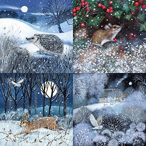 Museums & Galleries Weihnachtskarten für Wohltätigkeitsorganisationen – "Snowy Animals" – 5 Karten mit je 4 illustrativen Designs – festlicher Igel, Hase, Eule und Maus, mehrfarbig, 123 x 123 mm, 20 von Museums & Galleries