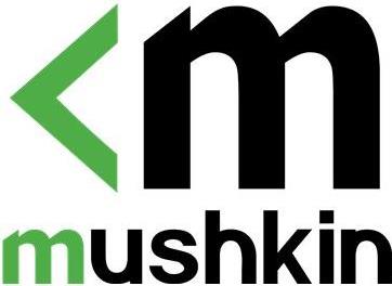 Mushkin SORAM D4 3200 64GB C22 Essentials K2 (MES4S320NF32GX2) von Mushkin