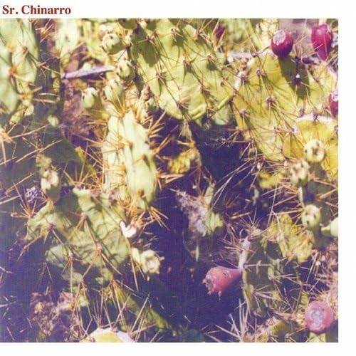 Sr Chinarro (Debut) [Vinyl LP] von Mushroom Pillow