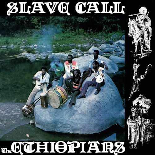 Slave Call [Vinyl LP] von Music on Vinyl (H'Art)