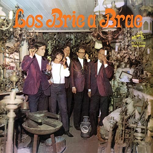 Los Bric a Brac [Vinyl LP] von Musica & Entretenimiento / Cargo