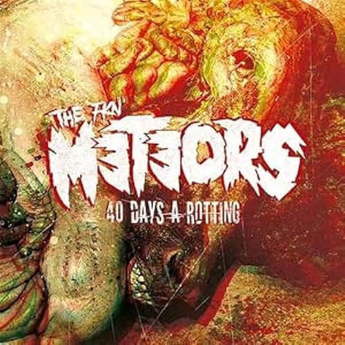40 Days A Rotting [Vinyl LP] von MUTANT ROCK RECORDS