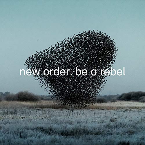 Be A Rebel [Vinyl LP] von Mute U.S.