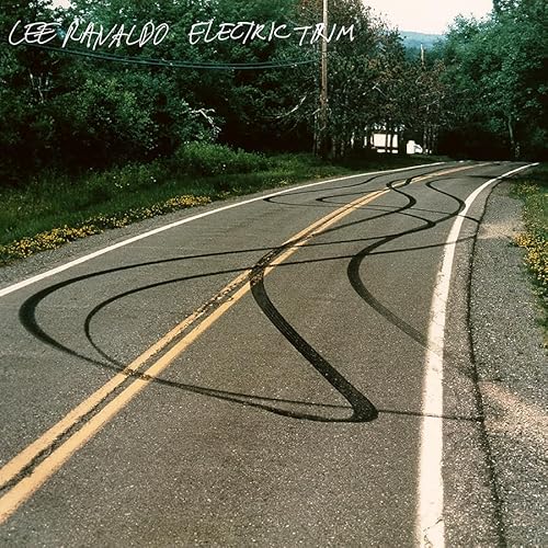 Electric Trim [Vinyl LP] von Mute U.S.