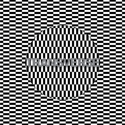 Transverse [Vinyl LP] von Mute U.S.
