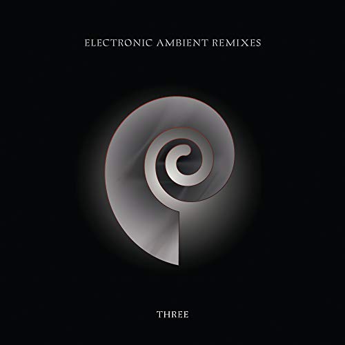 Electronic Ambient Remixes Vol.3 von Mute