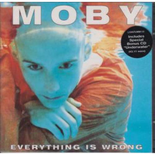 Everything Is Wrong + CD von Mute